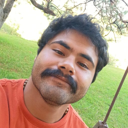 Jesús Alejandro Nualart Minguet
